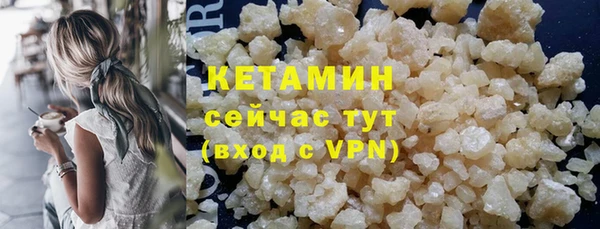 прущие грибы Белокуриха