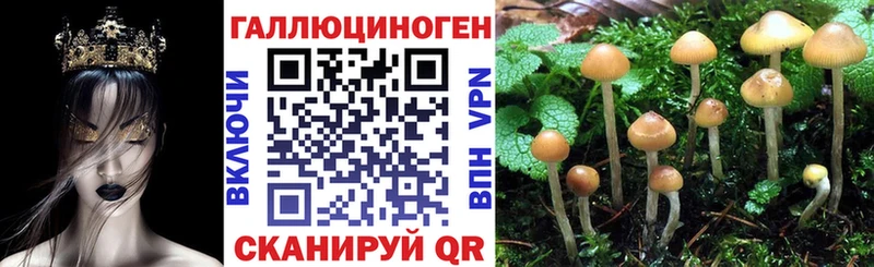 Галлюциногенные грибы Psilocybe  сколько стоит  Верхний Уфалей 